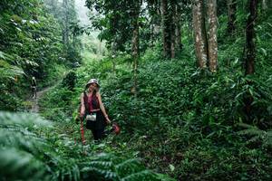 BIB: 
                            <button type="button" onclick="openModal(26358938)" class="btn btn-primary btn-sm float-right btn-popup" data-toggle="modal" data-target=".modal-high-quality">
                        <i class="fas fa-shopping-cart"></i> Add to Cart
                    </button>
                                            <button type="button" onclick="isThisMe(26358938, true)" class="btn btn-success btn-sm float-right btn-popup btn-isme hidden" data-toggle="tooltip" data-placement="bottom" title="นี่คือรูปของคุณใช่ไหม คลิกที่นี่เพื่อเอาเข้าอัลบั้ม">
                        <i class="fas fa-plus"></i> Add to album
                    </button>
                    <button type="button" onclick="isThisMe(26358938, false)" class="btn btn-warning btn-sm float-right btn-popup btn-isnotme hidden">
                        <i class="fas fa-ban"></i> Remove from album
                    </button>